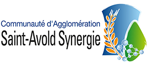 Saint-Avold Synergie